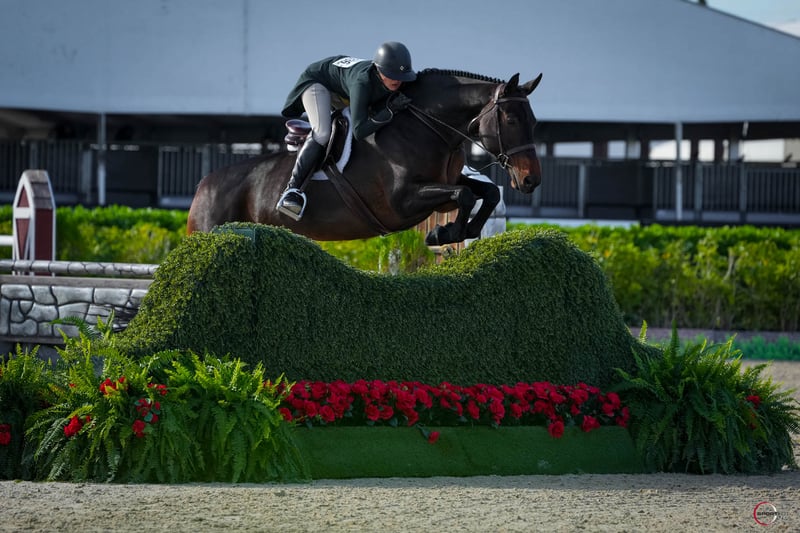 1804-MH103317 (1) (1)