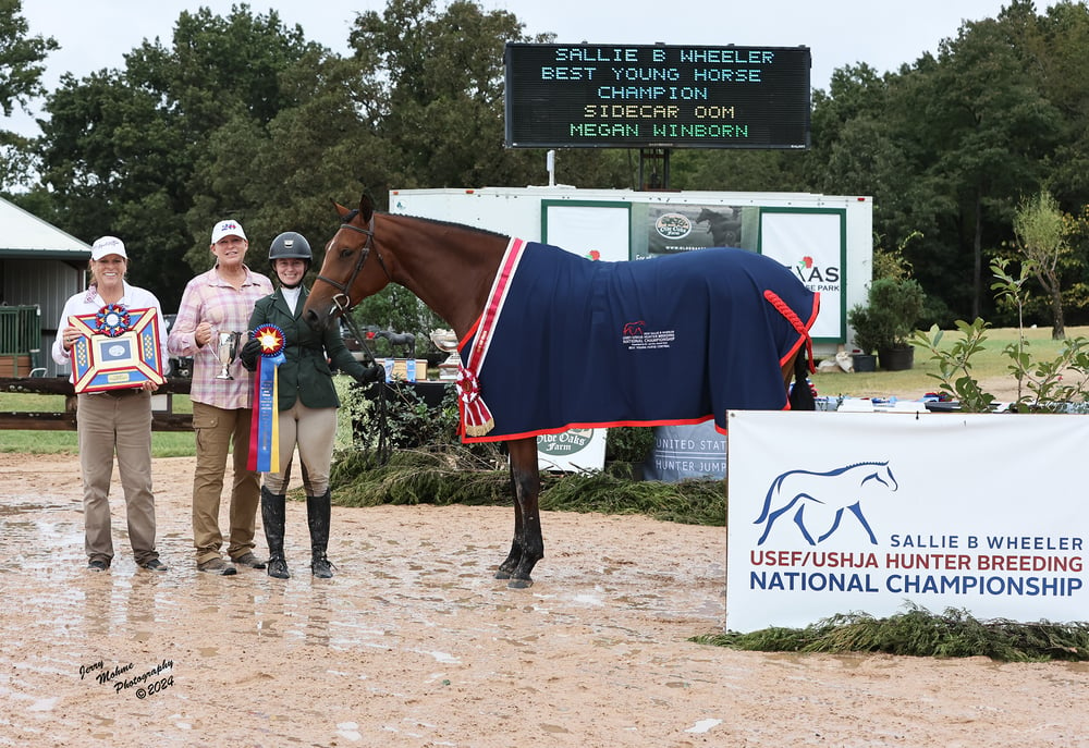 Best Young Horse SBW Central