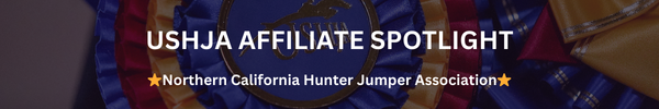 Copy of Copy of affiliate Banner (600 x 100 px) (24)