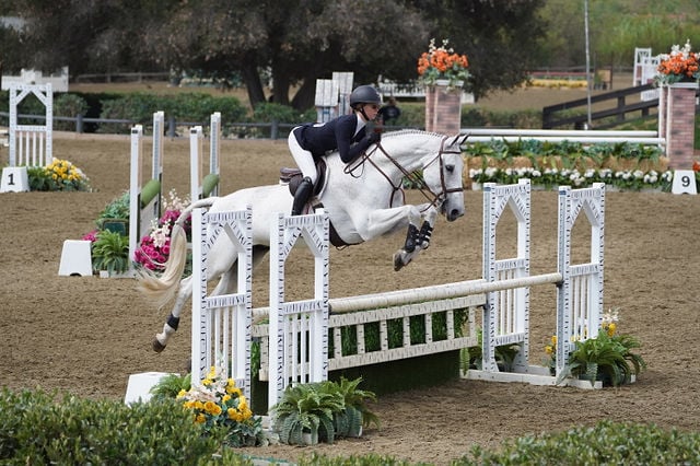 Handskar Hästbett - Estelle Equestrian