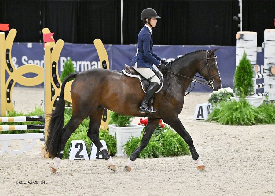 DSC_1573ArriagoEMOFlat