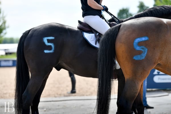 Fri Jun 23-5687Zone Jumper Team Championships