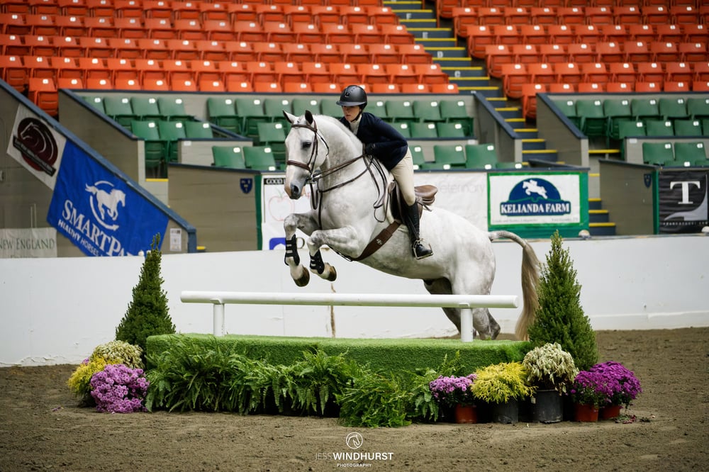 JW402345-ARW_EDIT_NEEC_2024