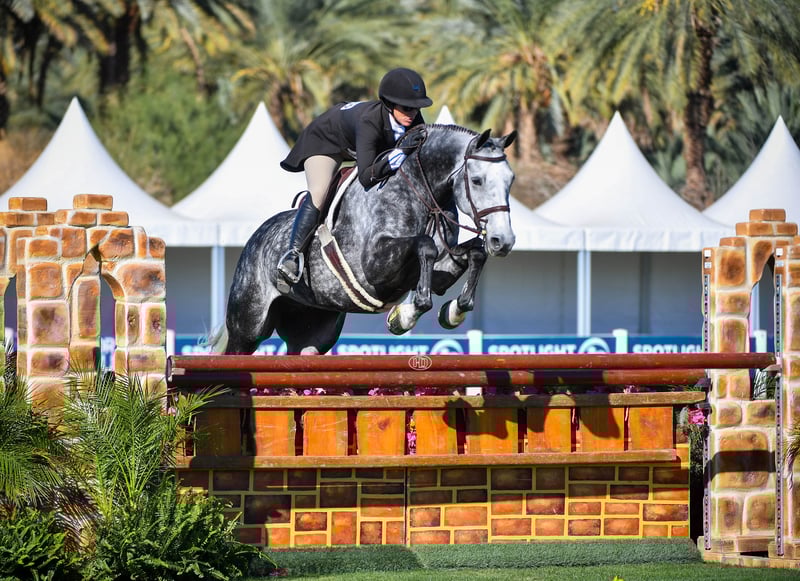 NICOLE BOURGEOIS_CONNECT THE DOTS_EZA_1295