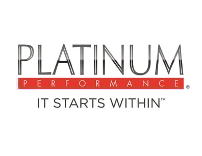 Platinum Logo ISW metallic