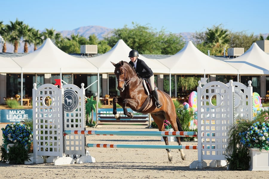 RENEE RODDA_CHEVAL_DCM10312