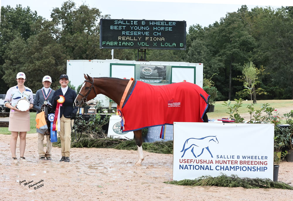 Reserve Best Young Horse Central SBW-1