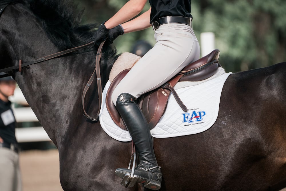 USHJA Colorado EAP Clinic - June 2023 - Credit Cady Voyer Creative-60
