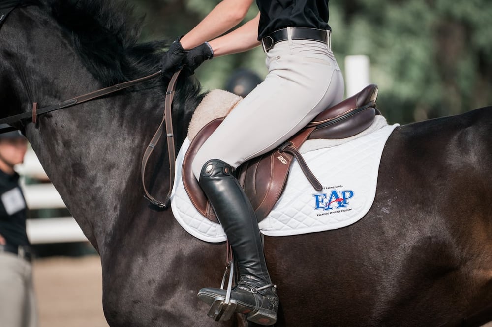 USHJA Colorado EAP Clinic - June 2023 - Credit Cady Voyer Creative-60