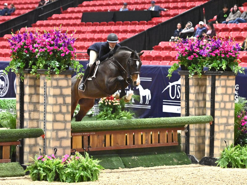 USHJA National Hunter Derby Jump - 447