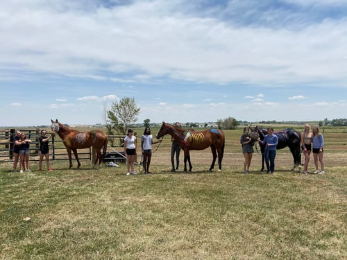 bsf-horsemanship-camp-2020_50155540941_o (1)