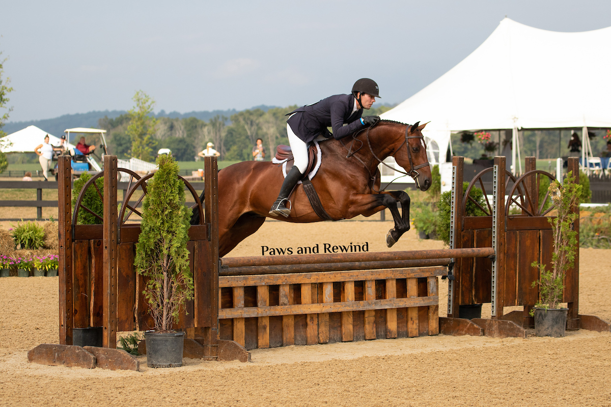 Junior, Amateur and Open Champions Crowned at Standlee/USHJA